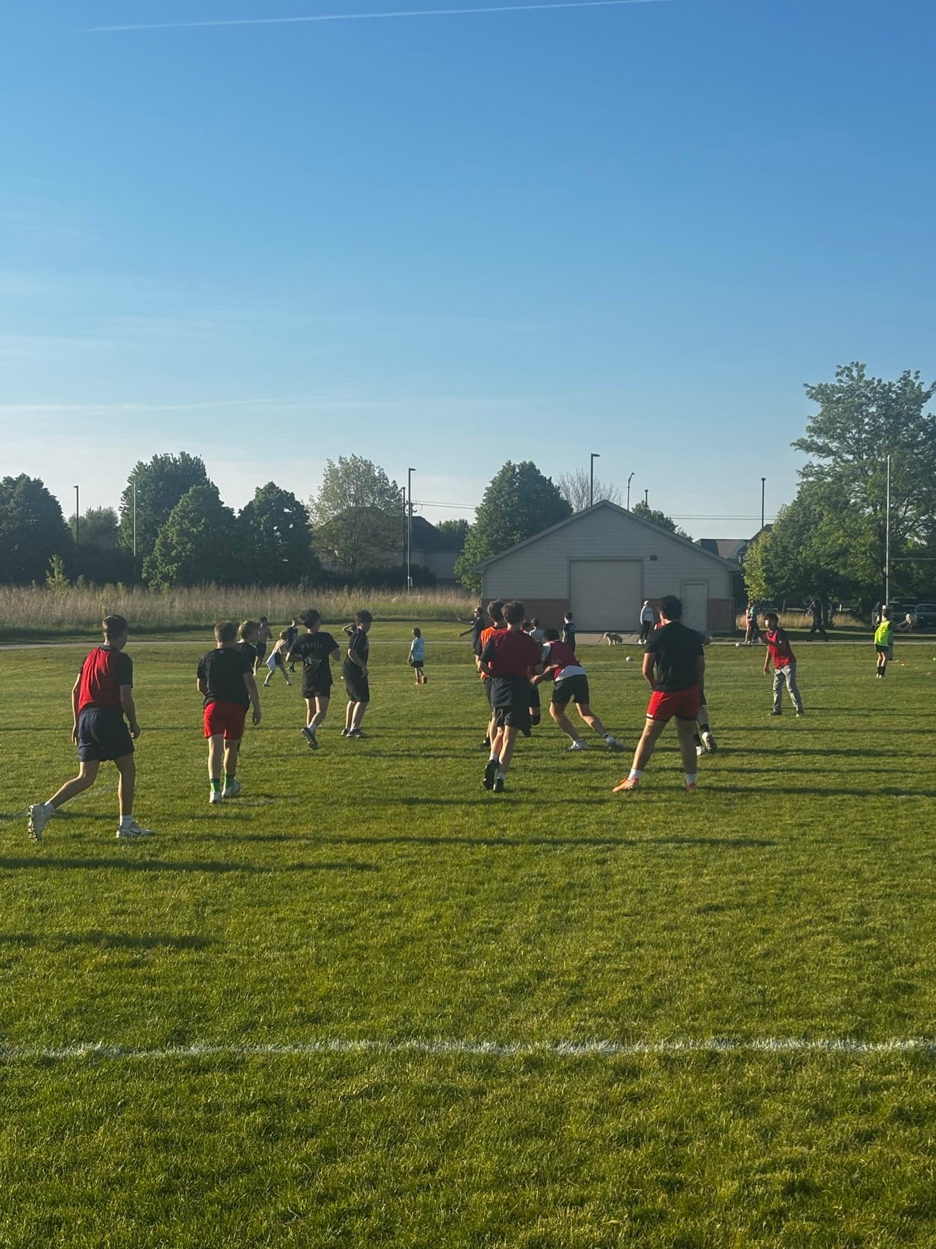 Fortivus Rugby